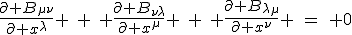 LaTeX: \frac{\partial B_{\mu\nu}}{\partial x^\lambda} \hspace{5}+\hspace{5} \frac{\partial B_{\nu\lambda}}{\partial x^\mu} \hspace{5}+\hspace{5} \frac{\partial B_{\lambda\mu}}{\partial x^\nu} \hspace{5}=\hspace{5} 0